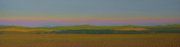 View from Fitzgibbon's House