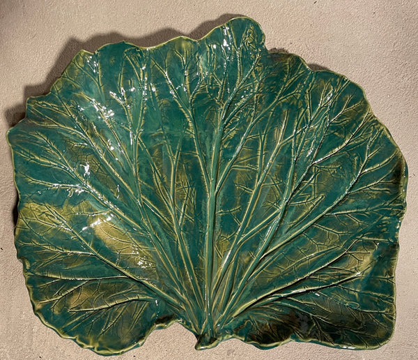 Rhubarb Leaf