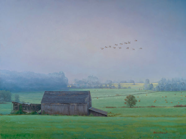 Almost Time To Harvest