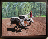 Harrowing the Fields with Oxen