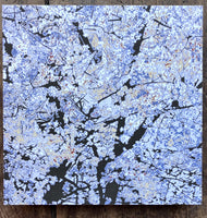 Almond Tree Blue Light #1