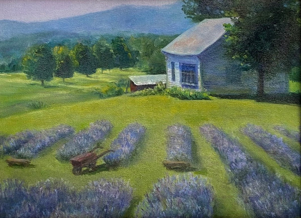 Afternoon Light on the Lavender Fields