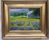 Afternoon Light on the Lavender Fields