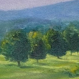 Afternoon Light on the Lavender Fields