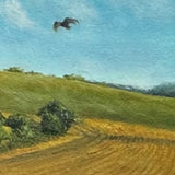 The Hunt, Flying Over Garfield Road Fields