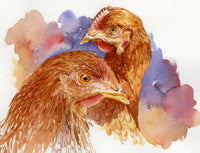 A Couple of Pullets