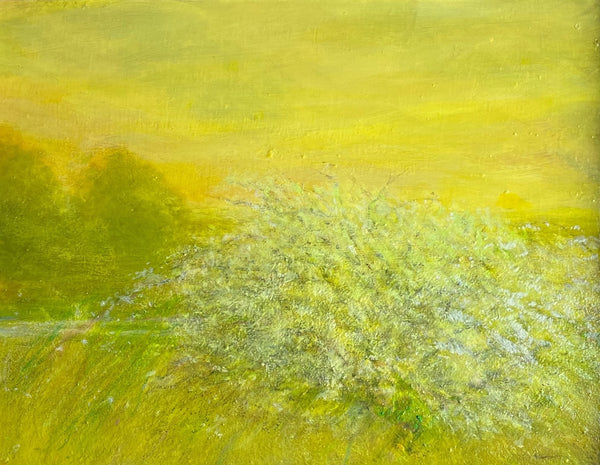 Apple Tree Safford Hill