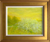 Apple Tree Safford Hill