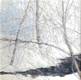 Winter Forest Creek