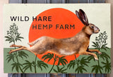 Wild Hare