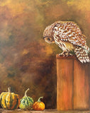 Owl #6