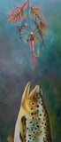 Fly And Trout