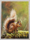 Squirrel #3
