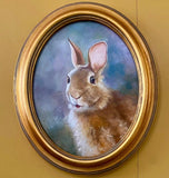 Bunny Boy
