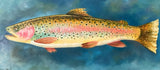 Rainbow Trout #4