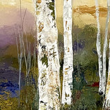 Adirondack Series 02