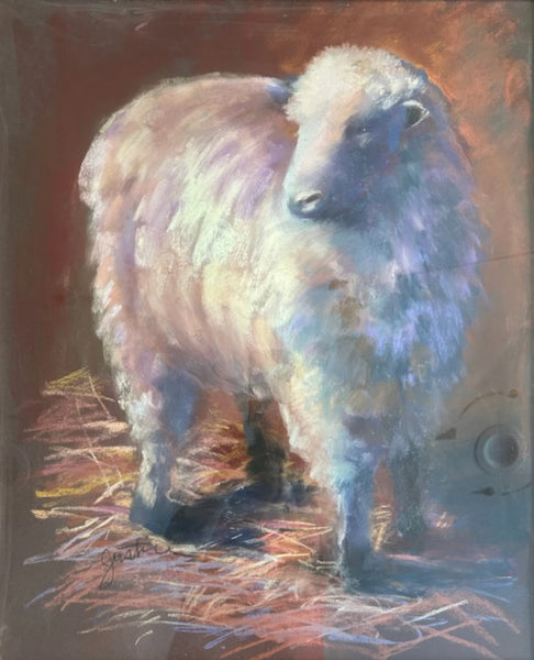 Sheep