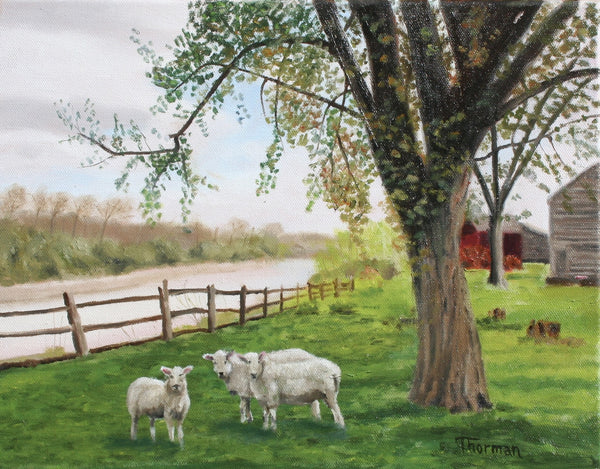 Three Buddies Chillin' by the Creek