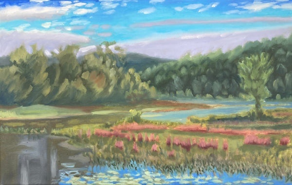 The Backwater Behind the H & V Factory