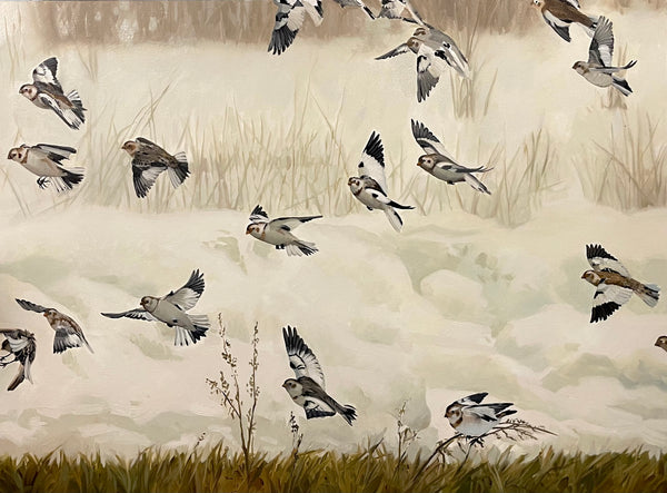 SNOW BUNTINGS IN FLIGHT