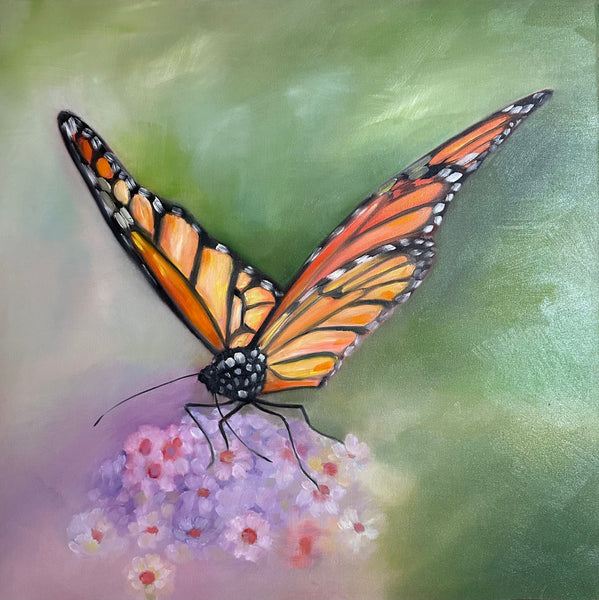 Milkweed and Monarchs