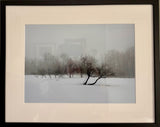 Winter Fog (unframed)
