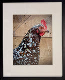 Speckled Hen, Scotch Hill Farm (unframed)