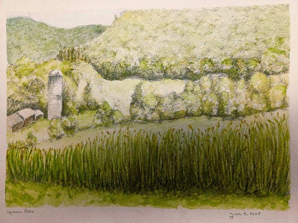 View from the Clubhouse