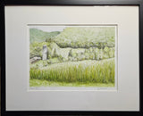 View from the Clubhouse