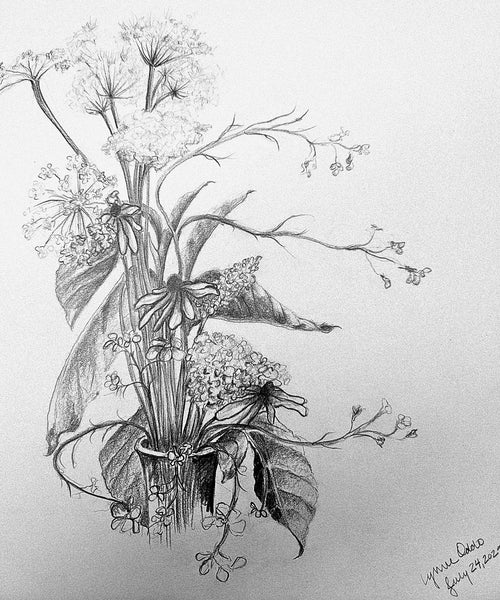 Black-eyed Susan & QueenAnn’s Lace