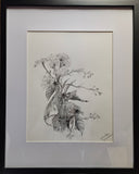 Black-eyed Susan & QueenAnn’s Lace