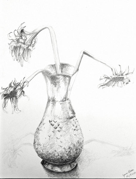 Shadows from Sunflowers