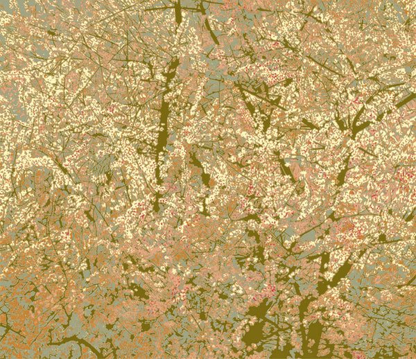 Almond Tree after Richter 2
