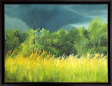 Summer Storm