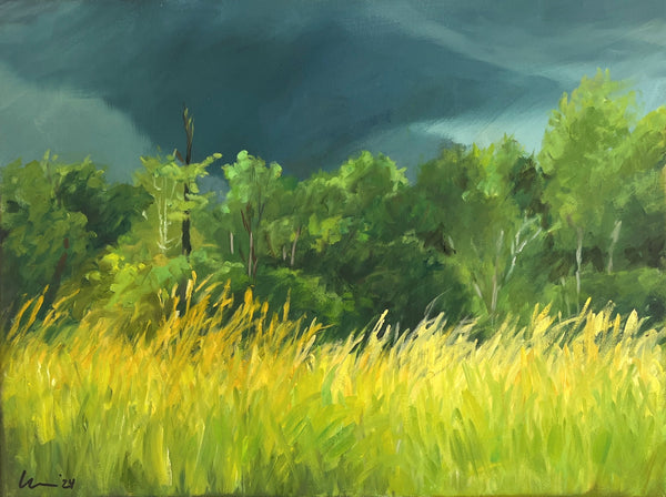 Summer Storm