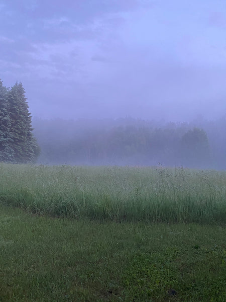 After the Rain (unmatted)