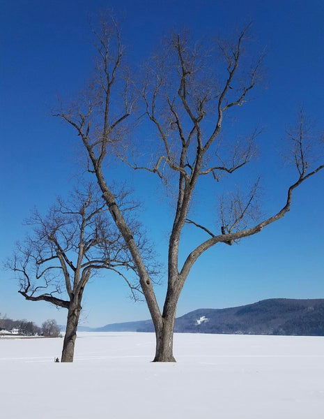 Ostego Lake (unmatted)