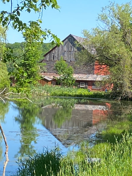 On Reflection (unmatted)