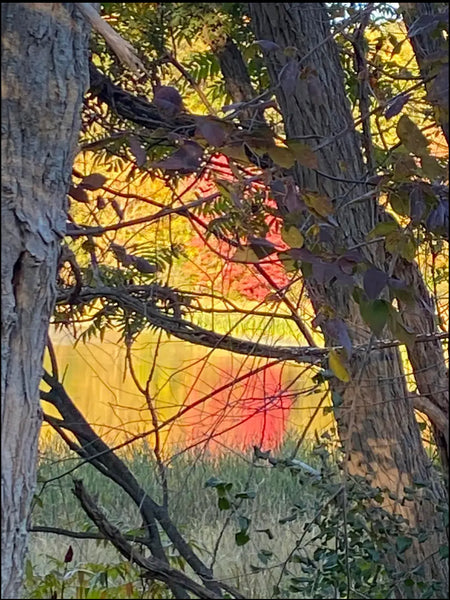 Red on Water (unmatted)