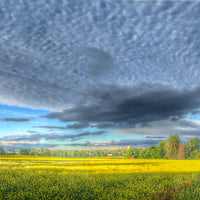 Sunrise Clouds