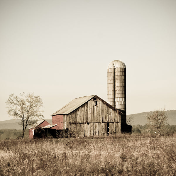 West River Barn