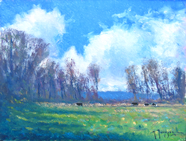 A Spring Field