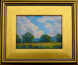 Sky Over a Field