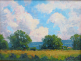 Sky Over a Field