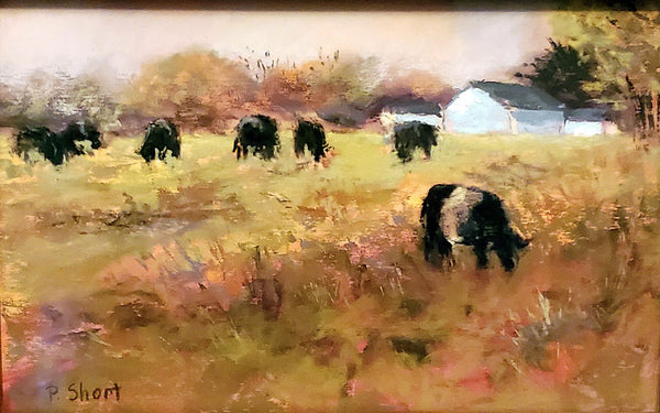 Cows in the Field