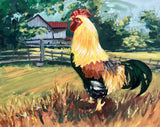 Rooster