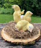 Freshly Hatched