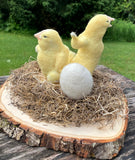 Freshly Hatched