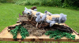 Squirrel Nest
