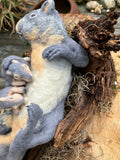 Squirrel Nest